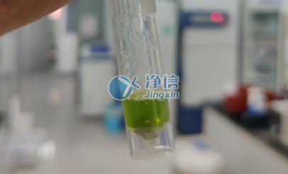 上海凈信冷凍研磨儀研磨番茄葉片實驗|浙江大學農學院用于后續提RNA操作