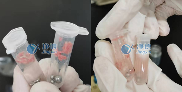 組織勻漿機對肺組織研磨操作實驗方法