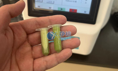 全自動樣品快速研磨儀對水稻葉片研磨實驗前后效果及操作方法|上海凈信